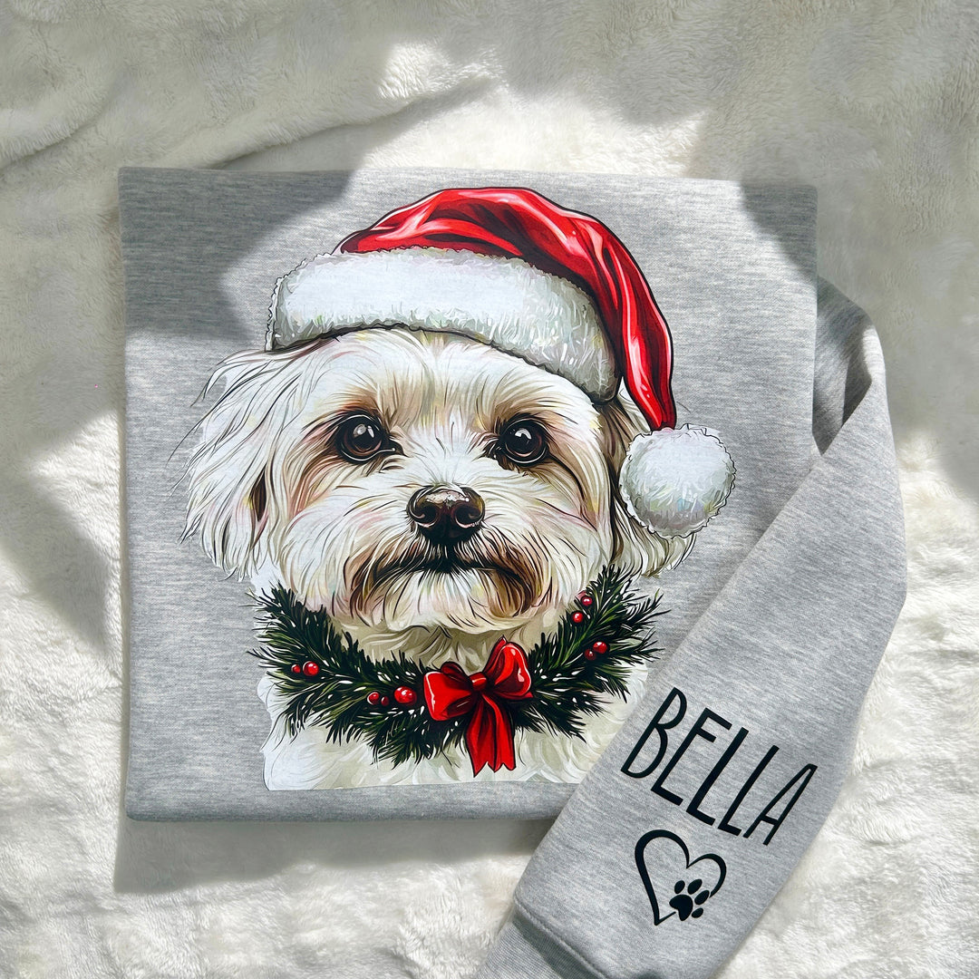 Sweat-shirt de Noël personnalisé pour animaux de compagnie avec bonnet de Père Noël personnalisé