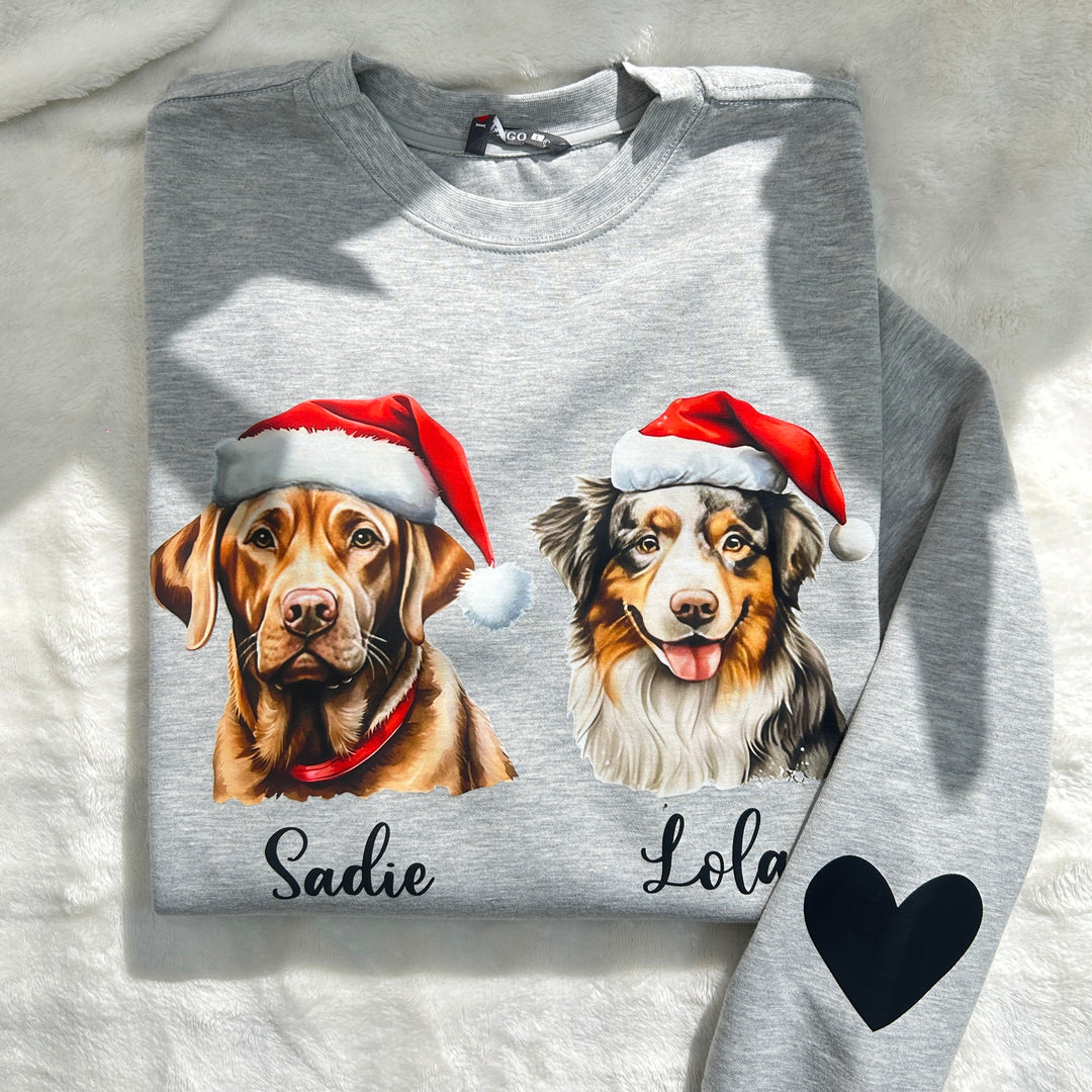 Sweat-shirt de Noël personnalisé pour animaux de compagnie avec bonnet de Père Noël personnalisé