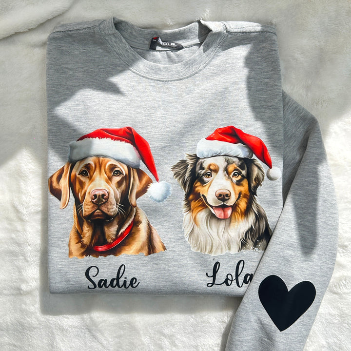 Sweat-shirt de Noël personnalisé pour animaux de compagnie avec bonnet de Père Noël personnalisé