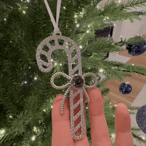 Ornement photo personnalisé Patte- Décorations de projection personnalisées - Cadeaux de Noël