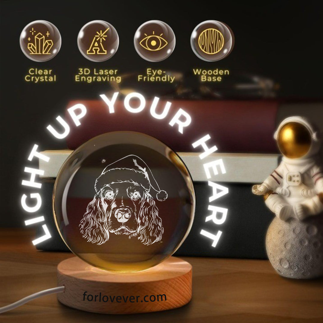 Boule de cristal de Noël personnalisée avec photo de votre animal de compagnie (croquis)