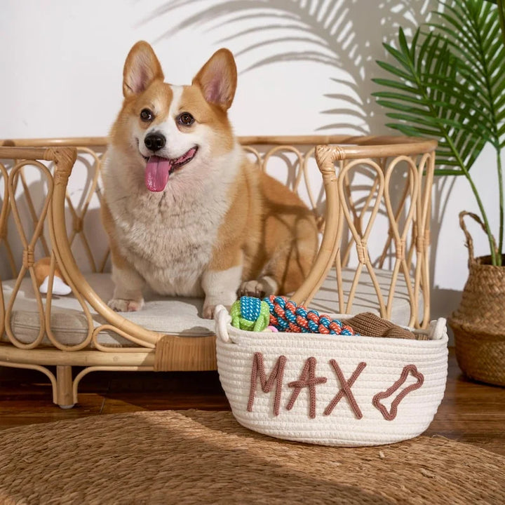 Panier personnalisé | Boîte à jouets pour animaux | Panier à jouets pour chien