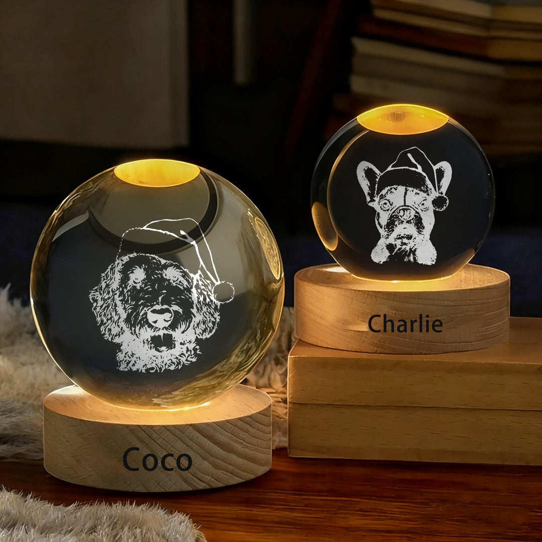 Boule de cristal de Noël personnalisée avec photo de votre animal de compagnie (croquis)