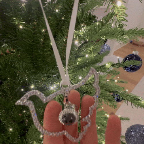 Ornement photo personnalisé Patte- Décorations de projection personnalisées - Cadeaux de Noël