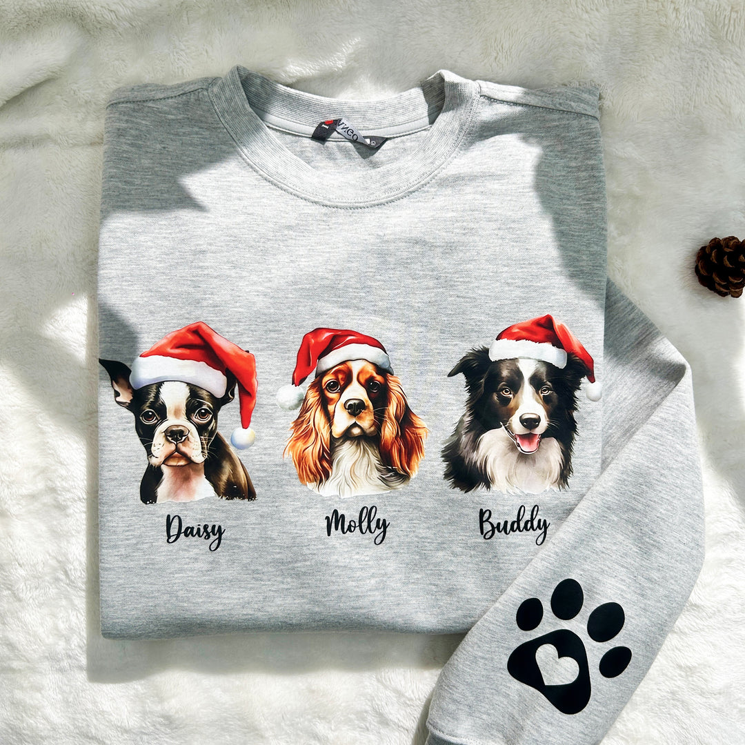 Sweat-shirt de Noël personnalisé pour animaux de compagnie avec bonnet de Père Noël personnalisé