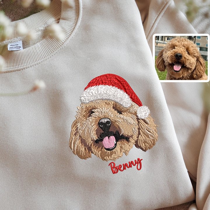 2025 Sweat-shirt brodé personnalisé en couleur avec portrait d'animal de compagnie, avec chapeau de Noël
