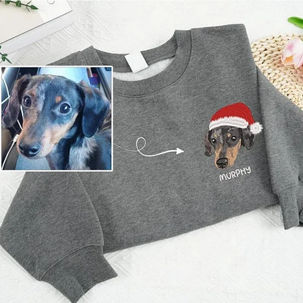 2025 Sweat-shirt brodé personnalisé en couleur avec portrait d'animal de compagnie, avec chapeau de Noël