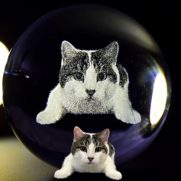 Veilleuse boule de cristal photo 2D personnalisée