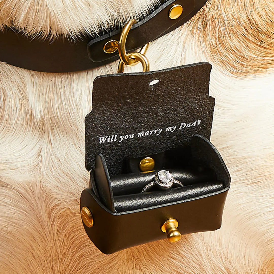 Pochette personnalisée pour bague de fiançailles avec chien | Boîte à bagues en cuir pour faire une demande en mariage avec votre chien