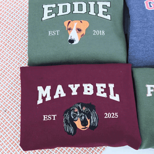 Sweat-shirt brodé personnalisé avec le visage et le nom de votre animal de compagnie, cadeau souvenir pour les amoureux des animaux