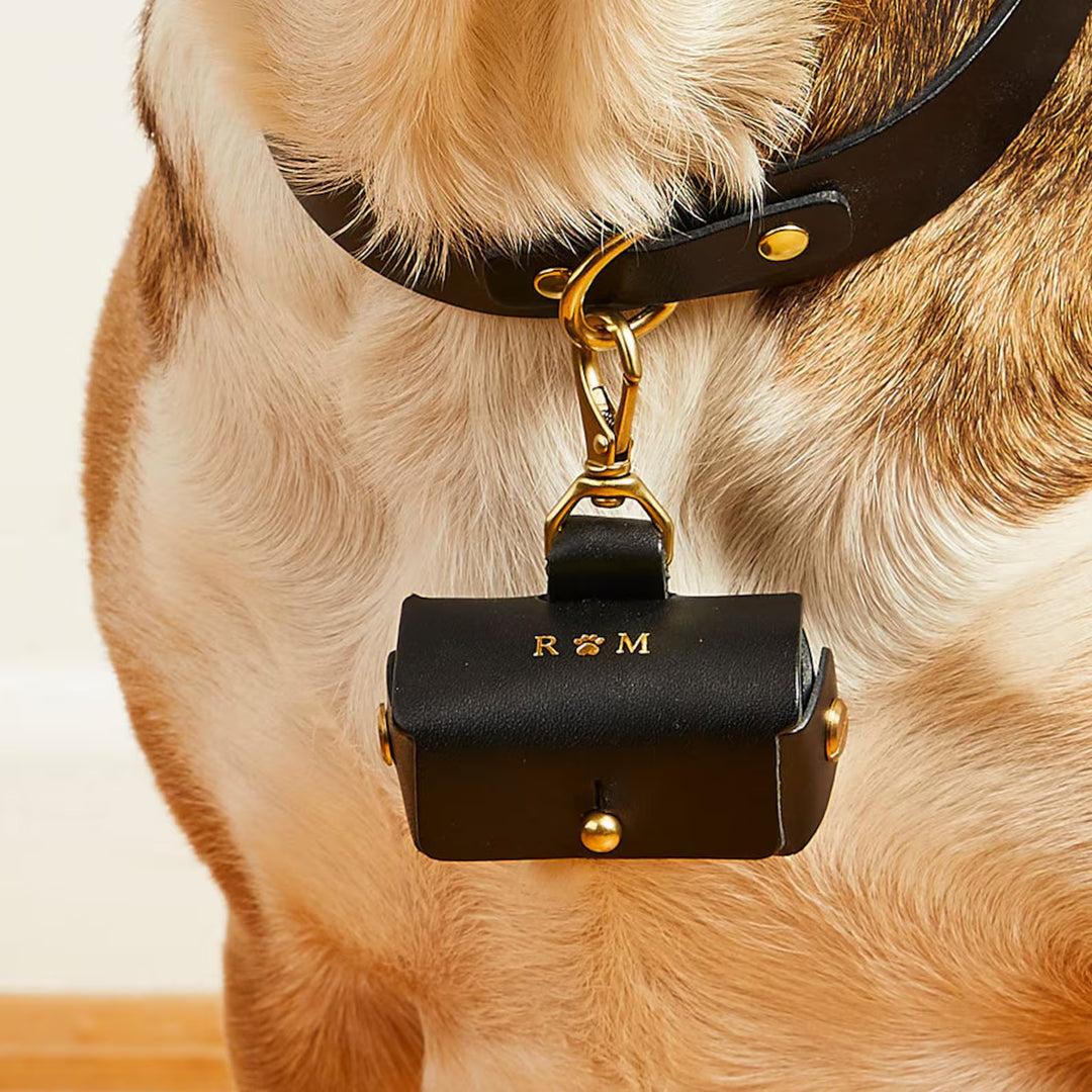 Pochette personnalisée pour bague de fiançailles avec chien | Boîte à bagues en cuir pour faire une demande en mariage avec votre chien