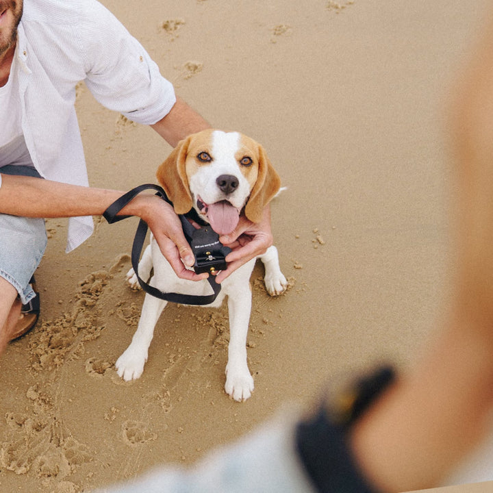 Pochette personnalisée pour bague de fiançailles avec chien | Boîte à bagues en cuir pour faire une demande en mariage avec votre chien