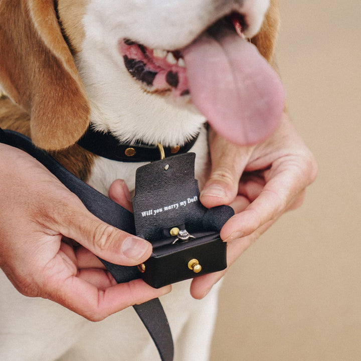 Pochette personnalisée pour bague de fiançailles avec chien | Boîte à bagues en cuir pour faire une demande en mariage avec votre chien