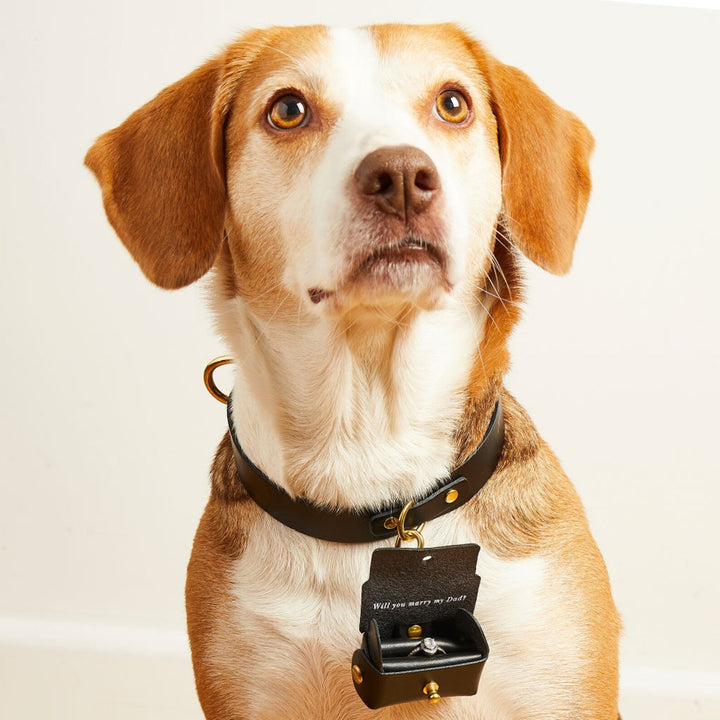 Pochette personnalisée pour bague de fiançailles avec chien | Boîte à bagues en cuir pour faire une demande en mariage avec votre chien