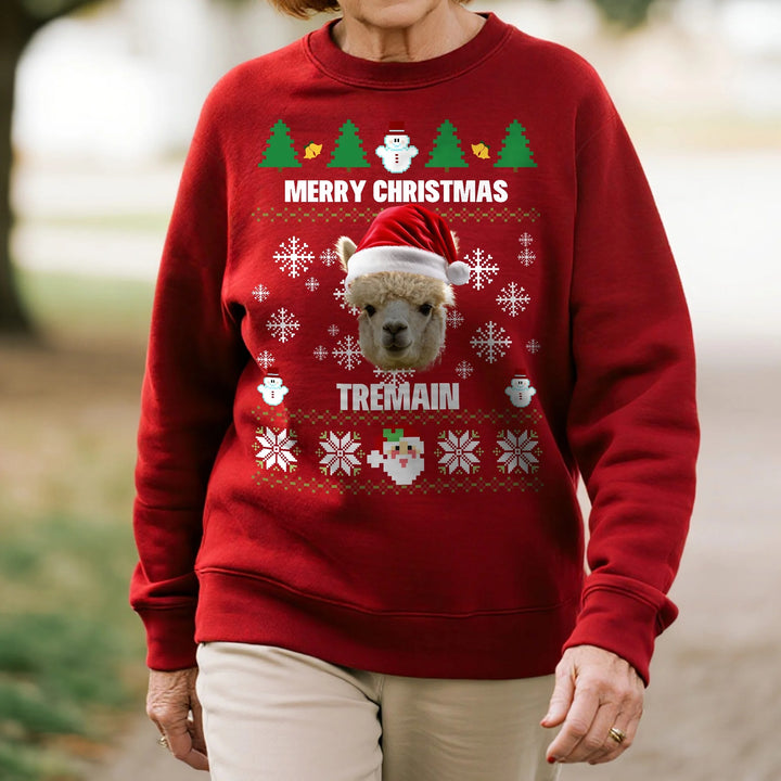 Sweat-shirt doux personnalisé avec chapeau de Père Noël multicolore et photos de visage d'animal de compagnie avec nom, cadeau de Noël