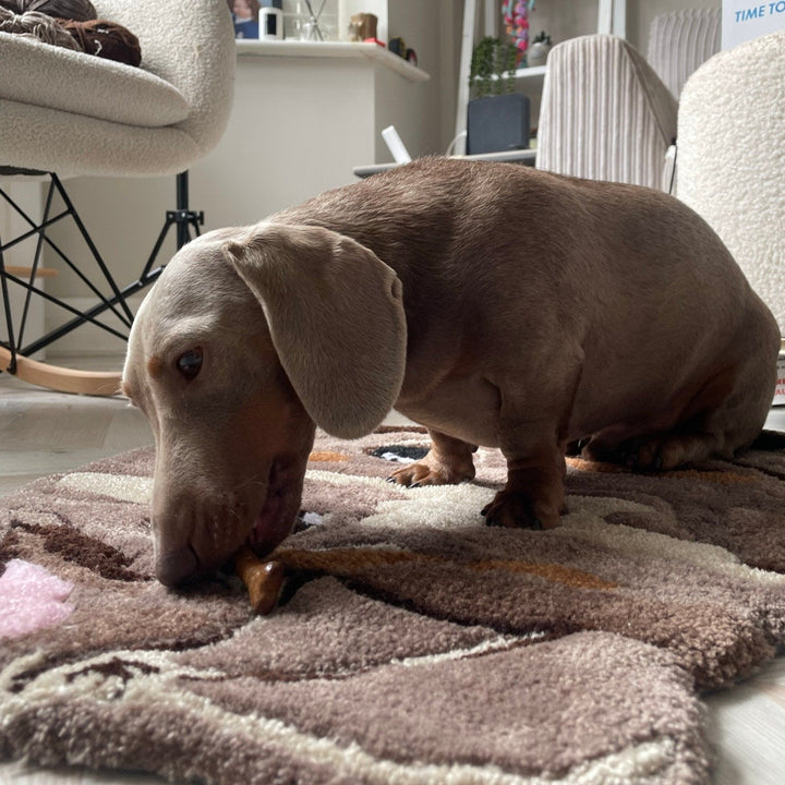 Tapis pour animaux de compagnie personnalisé - Tapis portrait personnalisé